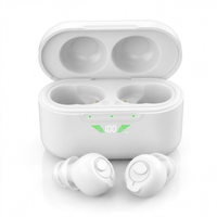 The Plus view 6